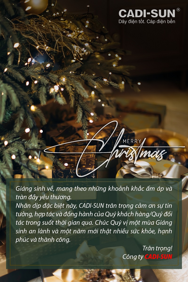 Lời chúc Giáng sinh và năm mới từ CADI-SUN